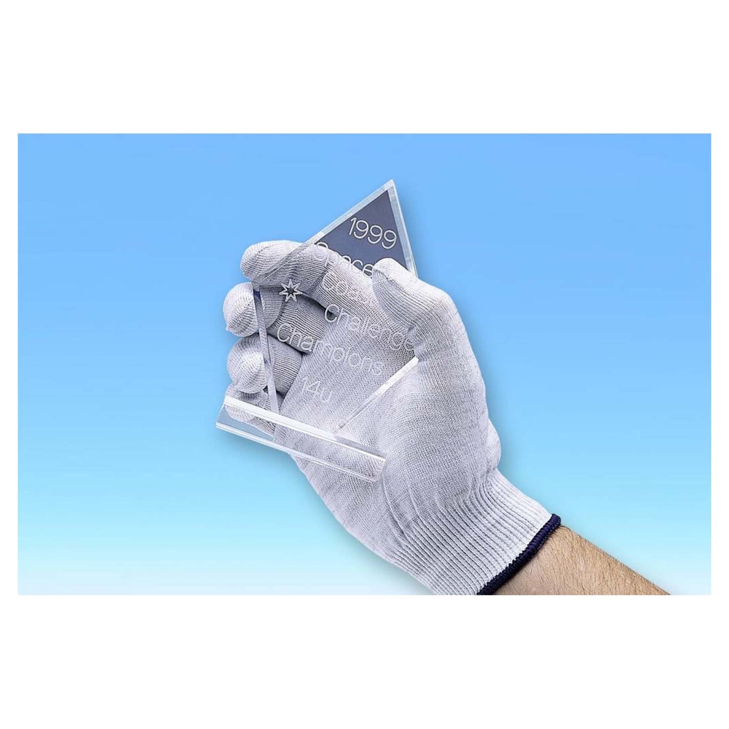 Kinetronics Antistatische Handschoenen ASG Large