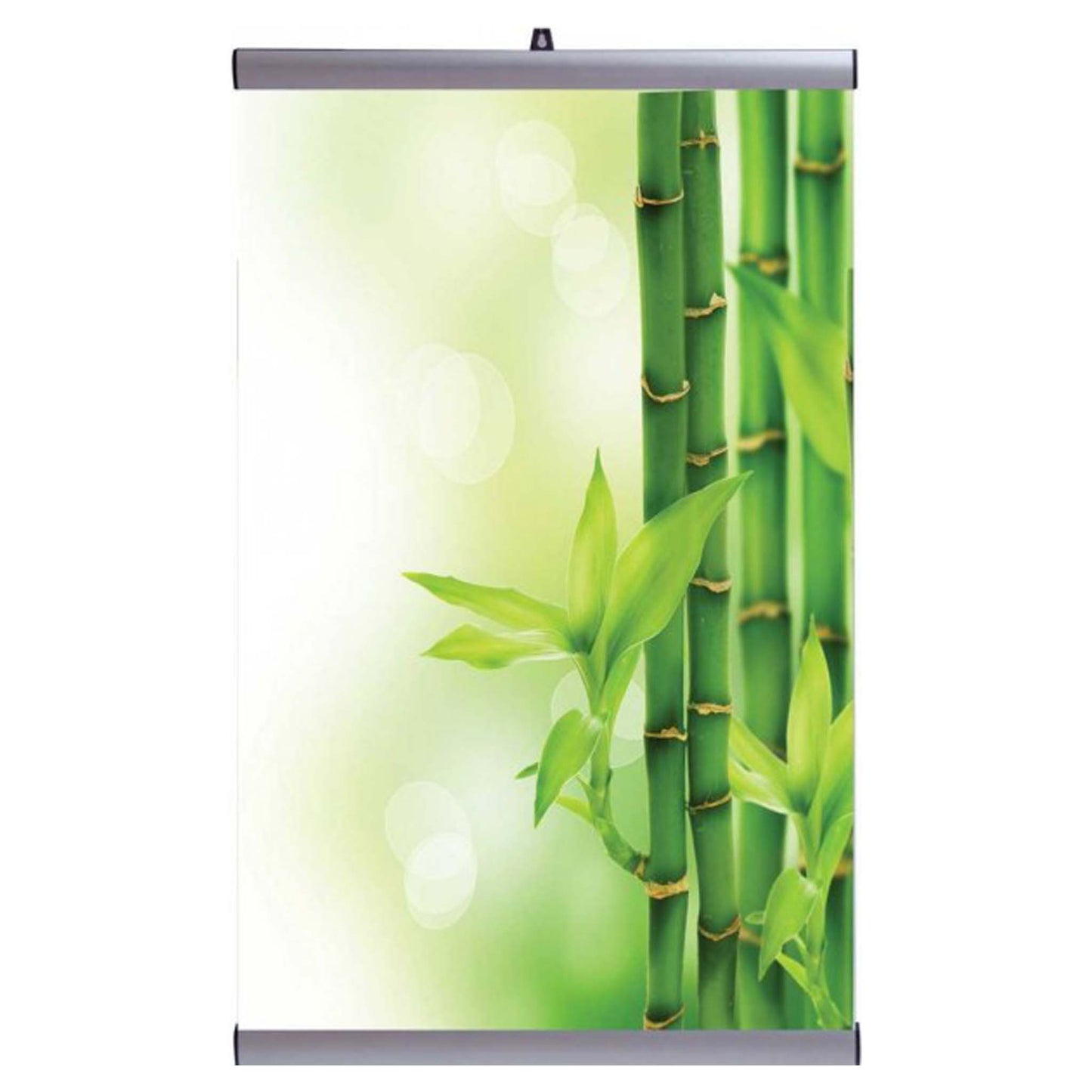 Bonjet Aluminium Posterstrips 1 set van 2 strips lengte 70,5cm