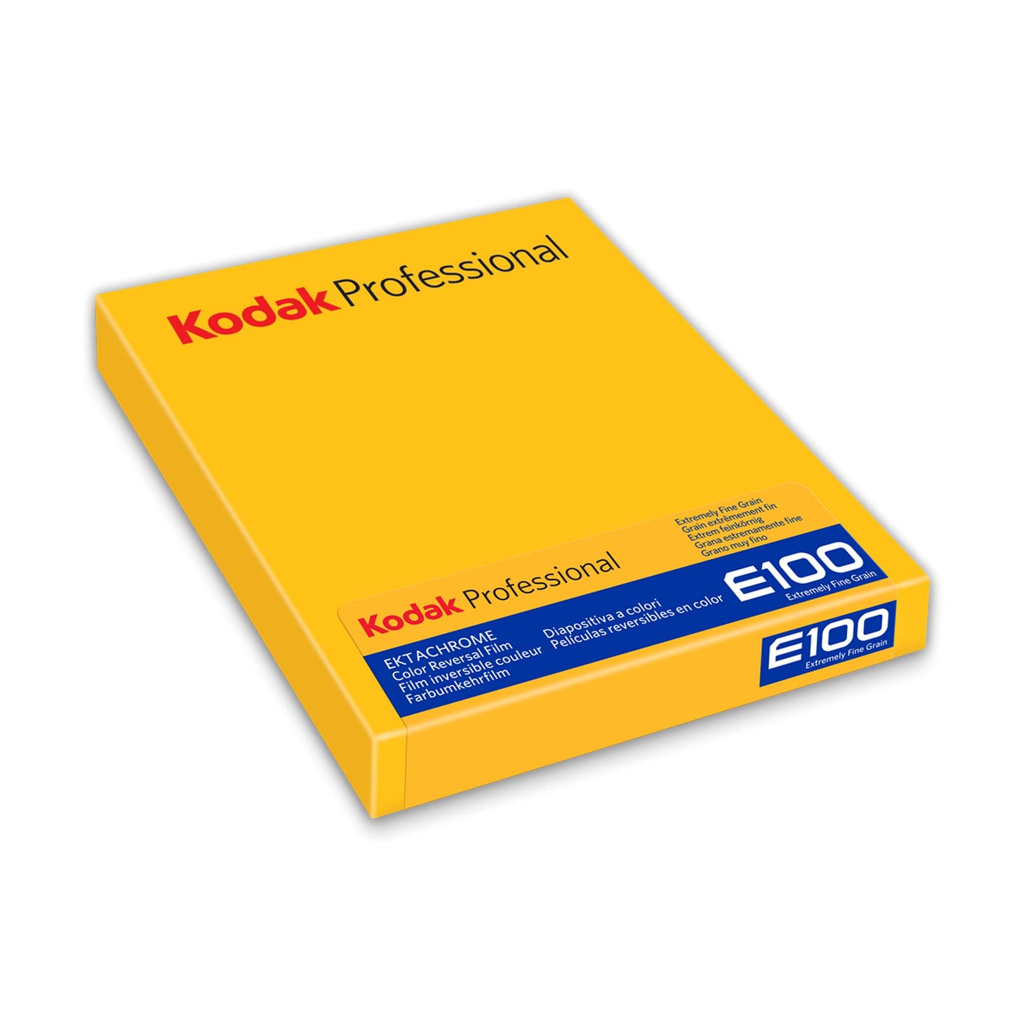 Kodak Ektachrome E100 4x5 inch 10 vel (Expiratiedatum 02-2025)