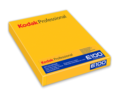 Kodak Ektachrome E100 4x5 inch 10 vel